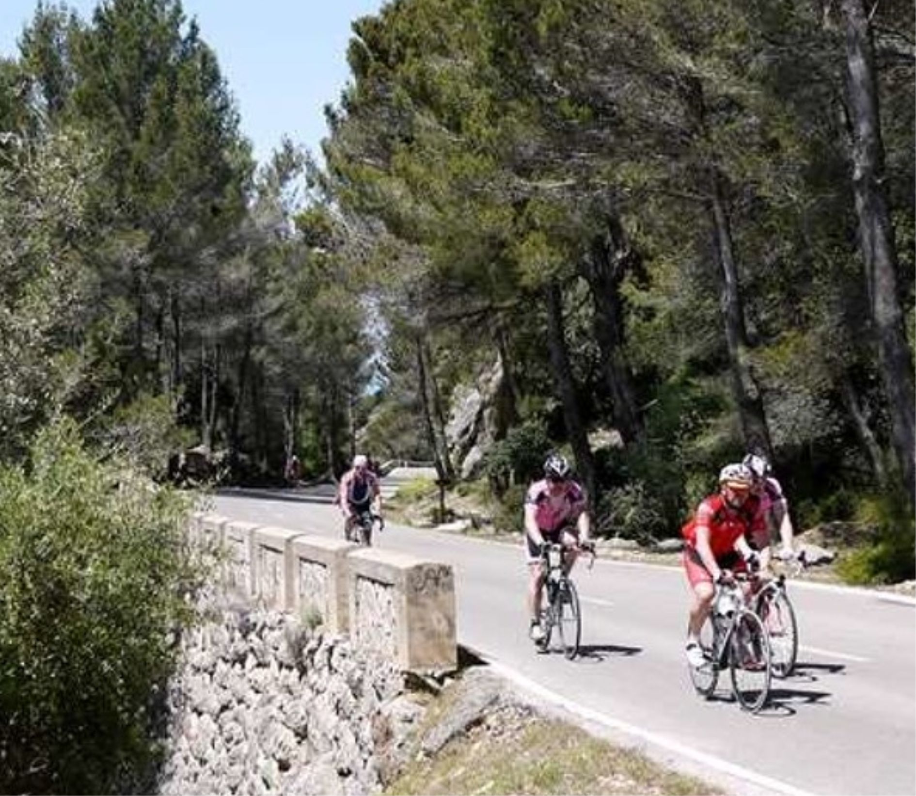 Alquiler de bicicletas mallorca-Vía Verde Manacor Artà 1 -1890X1642píxeles