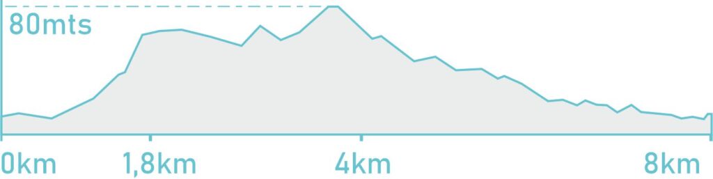 alquiler de bicicletas mallorca-altimetria son servera