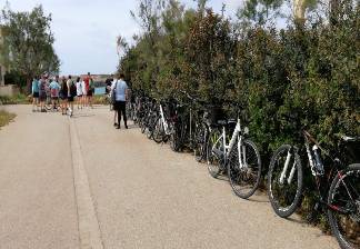 alquiler de bicicletas mallorca-excursion guada cala morlanda y punta de n'amer (4)