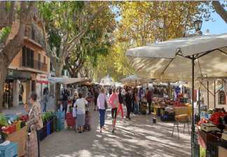 alquiler de bicicletas mallorca-excursión guiada mercado de alcudia costa des barqueres, mercado (1)