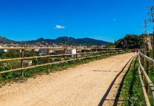 alquiler de bicicletas mallorca-mercado de artà-vía verde