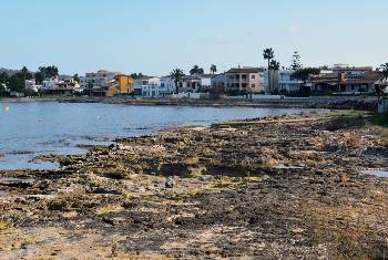 alquiler de bicicletas mallorca-playa es barquerès