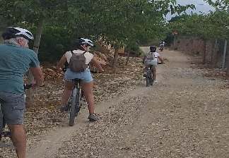 alquiler de bicicletas mallorca- ruta en bicicleta por vía verde familiar