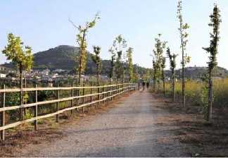 alquiler de bicicletas mallorca- ruta en bicicleta por vía verde